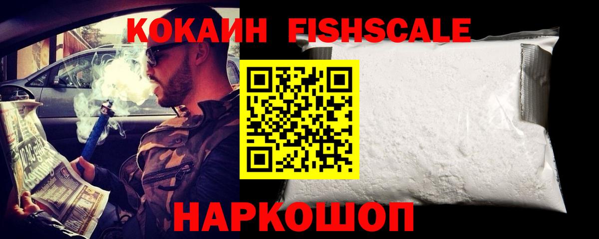 Ефремов  цены   Кокаин FishScale  Вход с VPN  Cocaine Fish Scale  Cocaine 