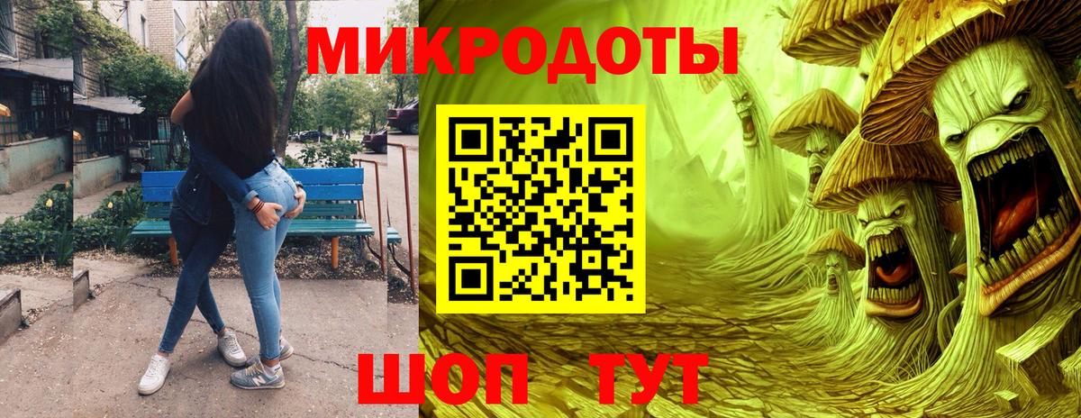 Галлюциногенные грибы Psilocybe Ефремов