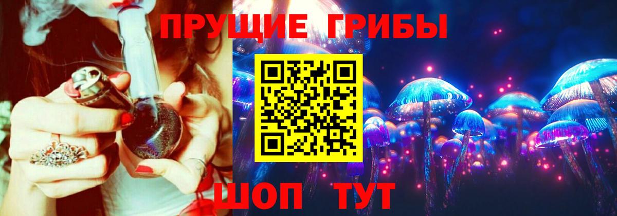 Ефремов  Псилоцибиновые грибы Psilocybe  Вход с VPN 